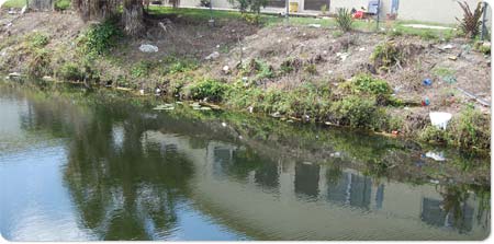 Canal Bank districts easement, with no trees